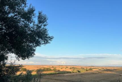 Modern Rustic Villa in the Heart of Tuscia’s Rolling Hills - Montalto di Castro, Italy