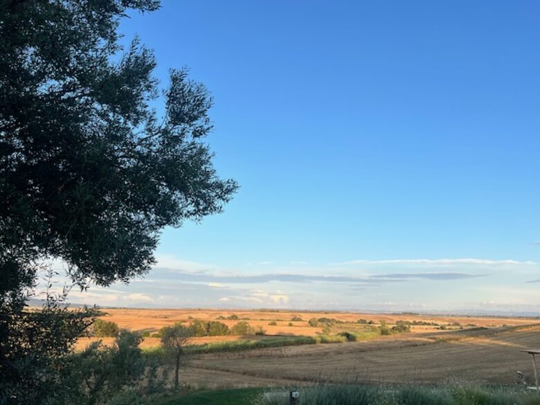 Modern Rustic Villa in the Heart of Tuscia’s Rolling Hills - Montalto di Castro, Italy