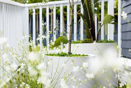 Laidback luxury by the beach - St Heliers, Auckland - St Heliers, New Zealand