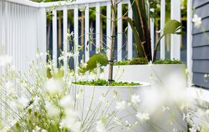 Laidback luxury by the beach - St Heliers, Auckland - St Heliers, New Zealand