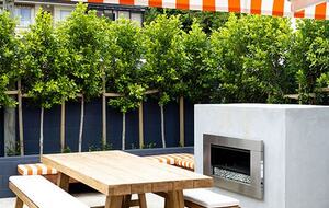 Laidback luxury by the beach - St Heliers, Auckland - St Heliers, New Zealand