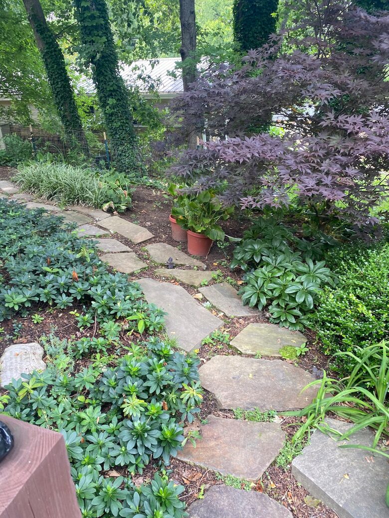 Stylish Asheville Getaway with Private Jacuzzi & Downtown Views - Asheville, North Carolina