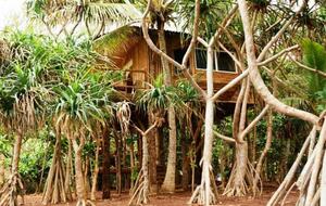 All-Inclusive 7-night TradeWinds TERRA "with a Splash" at Mandala Private Island - Neiafu, Tonga