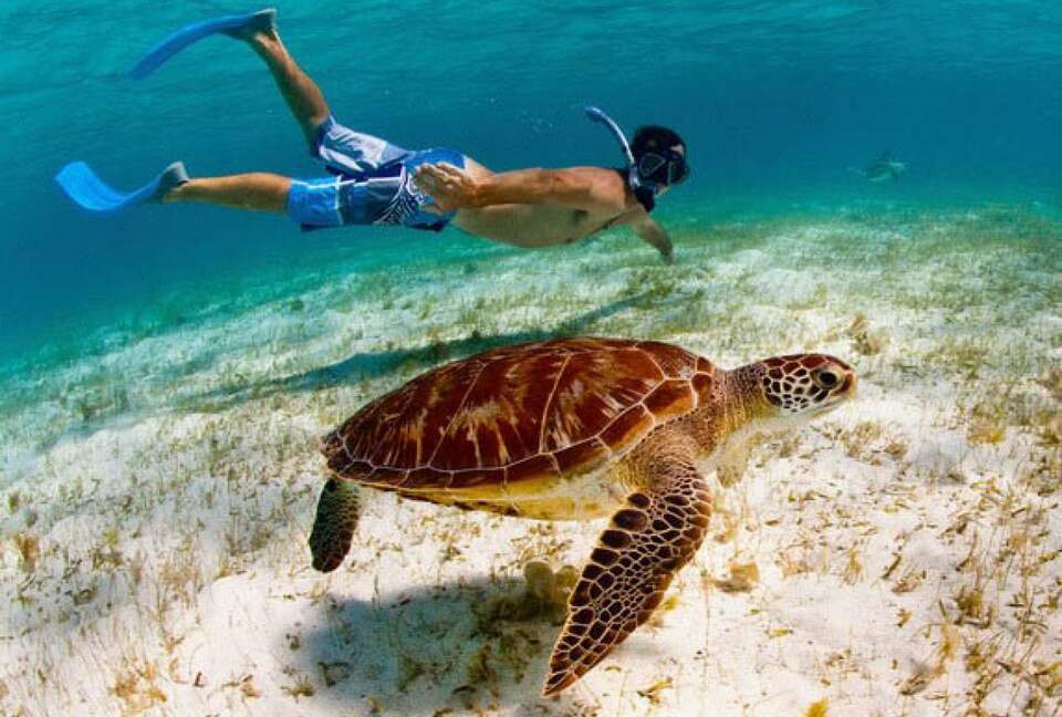 All-Inclusive 7-night TradeWinds TERRA "with a Splash" at Mandala Private Island - Neiafu, Tonga