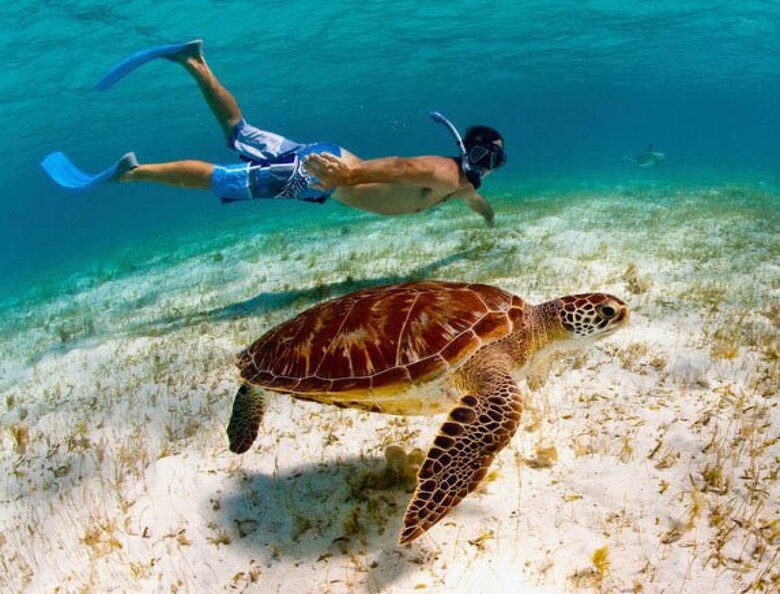 All-Inclusive 7-night TradeWinds TERRA "with a Splash" at Mandala Private Island - Neiafu, Tonga