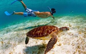 All-Inclusive 7-night TradeWinds TERRA "with a Splash" at Mandala Private Island - Neiafu, Tonga