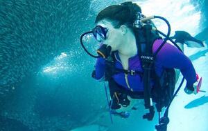 All-Inclusive 7-night TradeWinds TERRA "with a Splash" at Mandala Private Island - Neiafu, Tonga