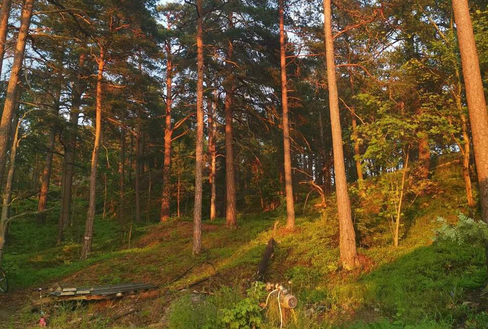 Luxury House with Sunset Views Near Stockholm - Boo, Sweden