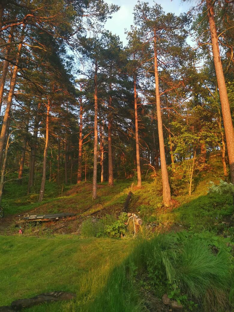Luxury House with Sunset Views Near Stockholm - Boo, Sweden