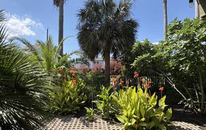 Relaxed Gulf Coast Escape in Jamaica Beach - Jamaica Beach, Texas