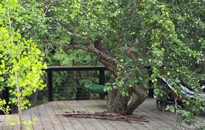 Tranquil Two-Level Retreat on the Shores of Tappen - Tappen, Canada