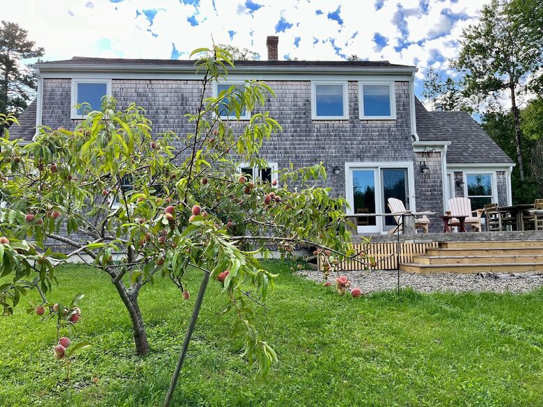 Charming Cottage on Islesboro Island - Islesboro, Maine