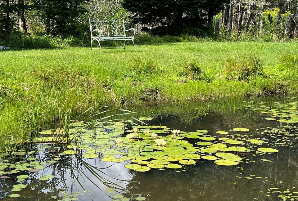 Charming Cottage on Islesboro Island - Islesboro, Maine