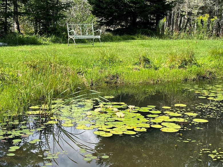 Charming Cottage on Islesboro Island - Islesboro, Maine
