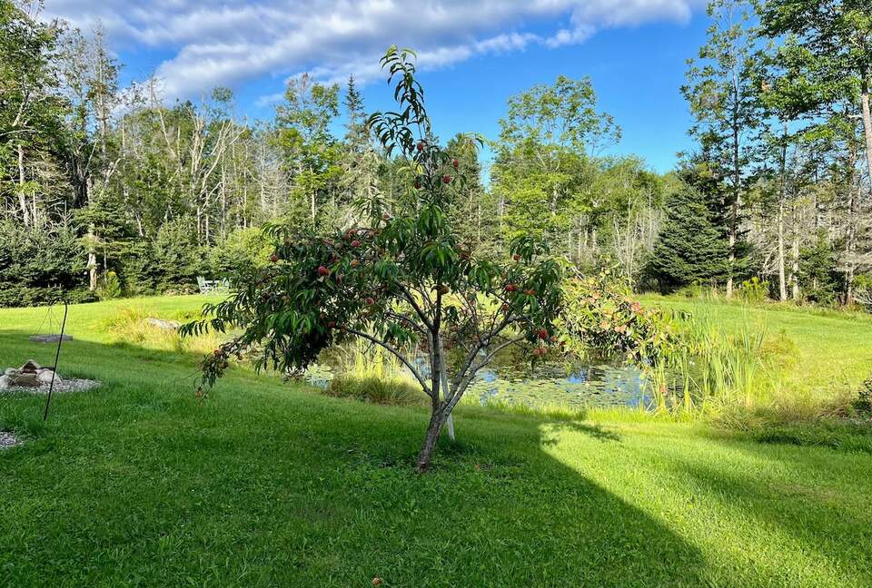 Charming Cottage on Islesboro Island - Islesboro, Maine