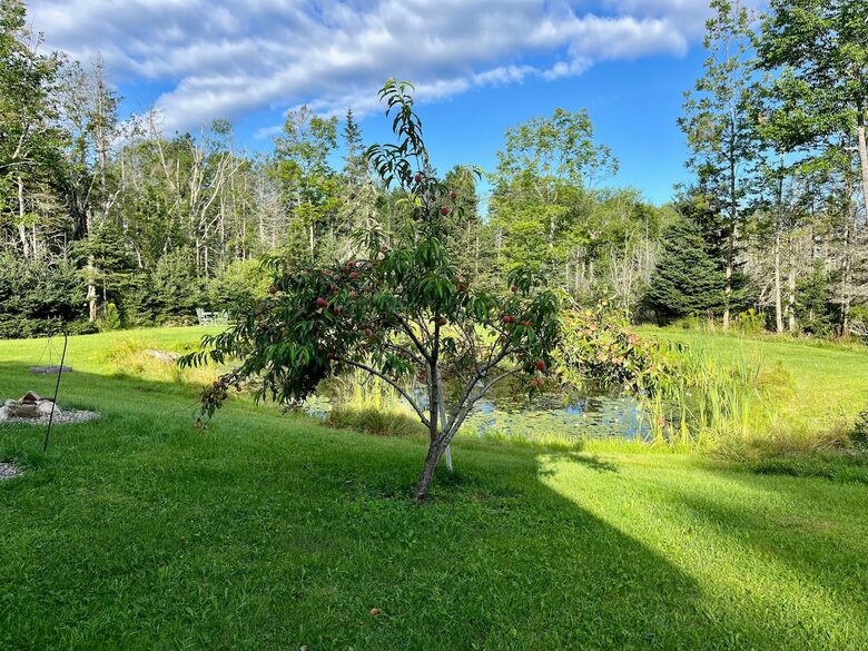 Charming Cottage on Islesboro Island - Islesboro, Maine