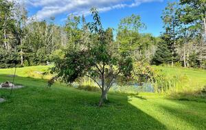 Charming Cottage on Islesboro Island - Islesboro, Maine