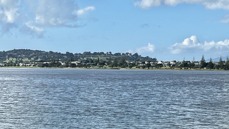 Looking across harbour to Omaha peninsula