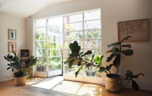 Roma Retreat | Tranquility in the Heart of Mexico City - CDMX, Mexico