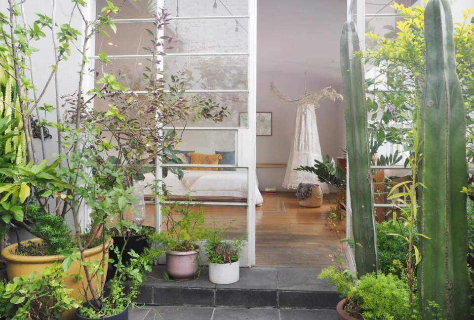 Roma Retreat | Tranquility in the Heart of Mexico City - CDMX, Mexico