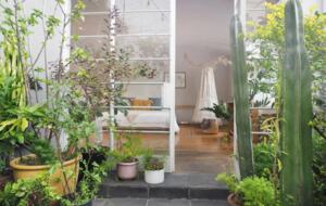Roma Retreat | Tranquility in the Heart of Mexico City - CDMX, Mexico