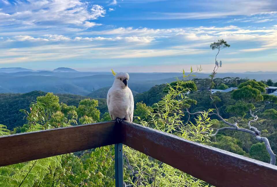 Clifftop Elegance in the Blue Mountains - Wentworth Falls, Australia