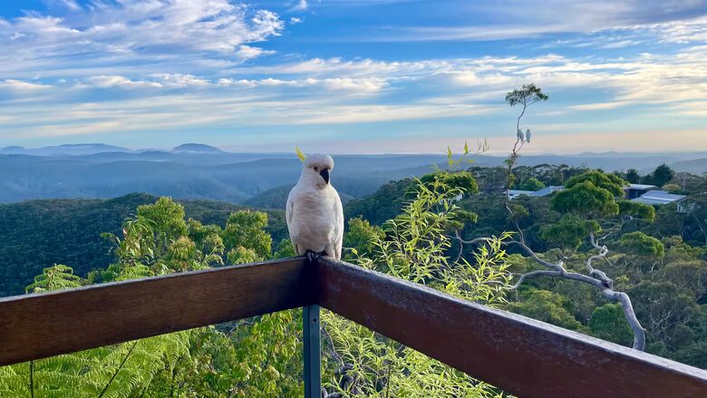 Clifftop Elegance in the Blue Mountains - Wentworth Falls, Australia