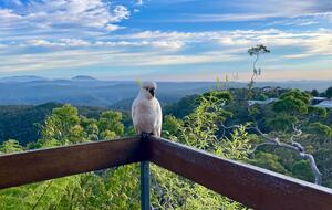 Clifftop Elegance in the Blue Mountains - Wentworth Falls, Australia