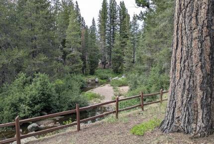 Tranquility on the Upper Truckee River - South Lake Tahoe, California