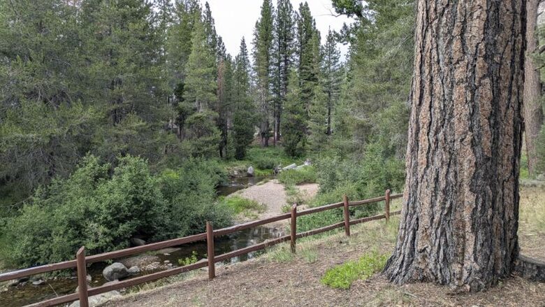 Tranquility on the Upper Truckee River - South Lake Tahoe, California