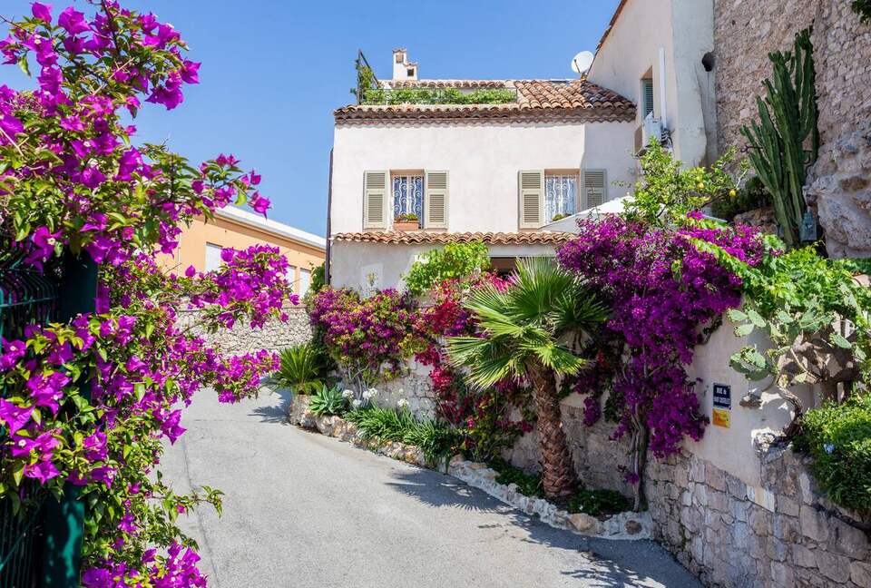 Clos des Vignes - Antibes, France