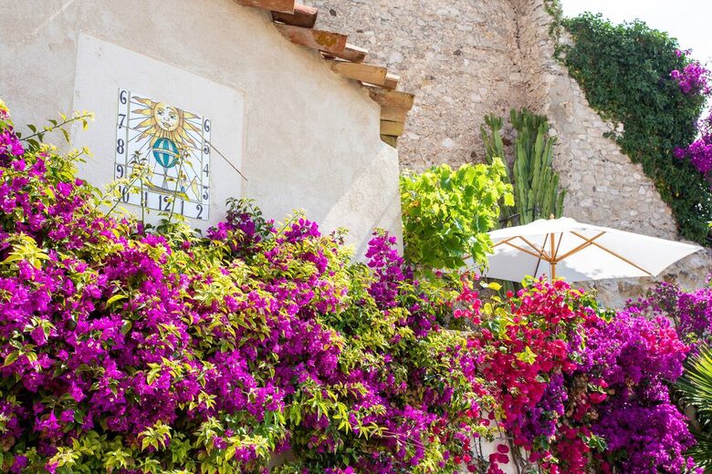 Clos des Vignes - Antibes, France