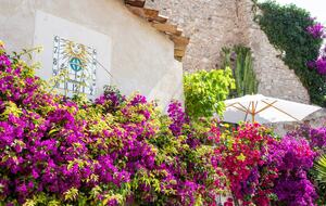 Clos des Vignes - Antibes, France