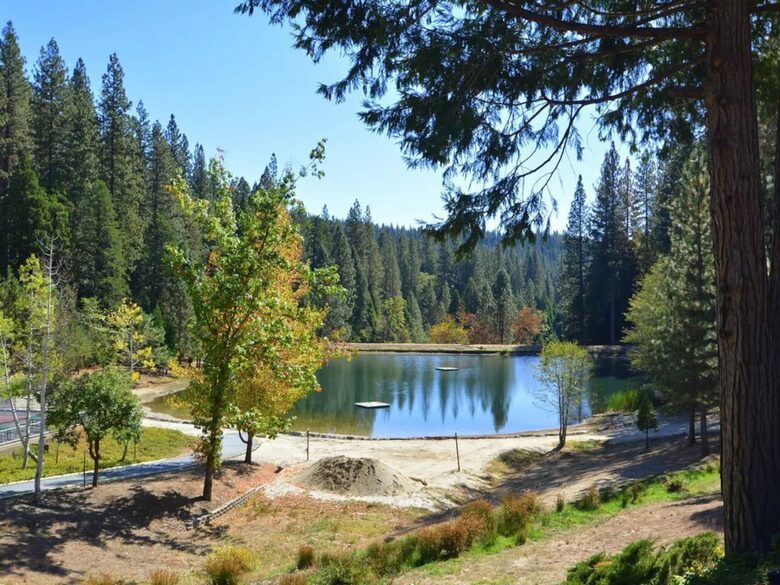 Cozy Comfort Near Bear Valley - Arnold, California