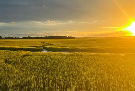 Marshfront Retreat Near Charleston - Johns Island, South Carolina