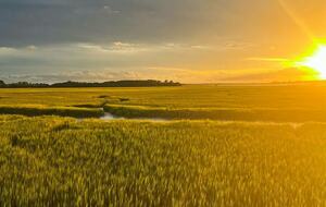Marshfront Retreat Near Charleston - Johns Island, South Carolina
