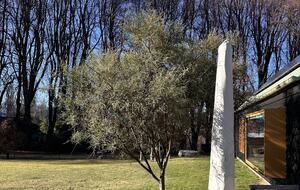 Modern Alpine Retreat with Stunning Mountain Views - Wānaka, New Zealand