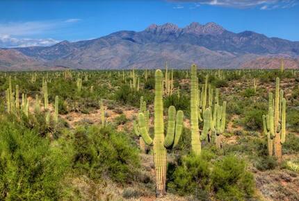 Rio Verde - Rio Verde, Arizona
