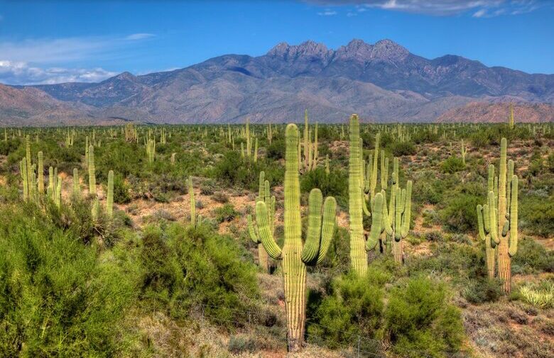 Rio Verde - Rio Verde, Arizona