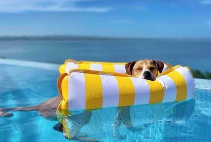 Spanish-Inspired Villa Overlooking Crash Boat Beach - Aguadilla Pueblo, Puerto Rico