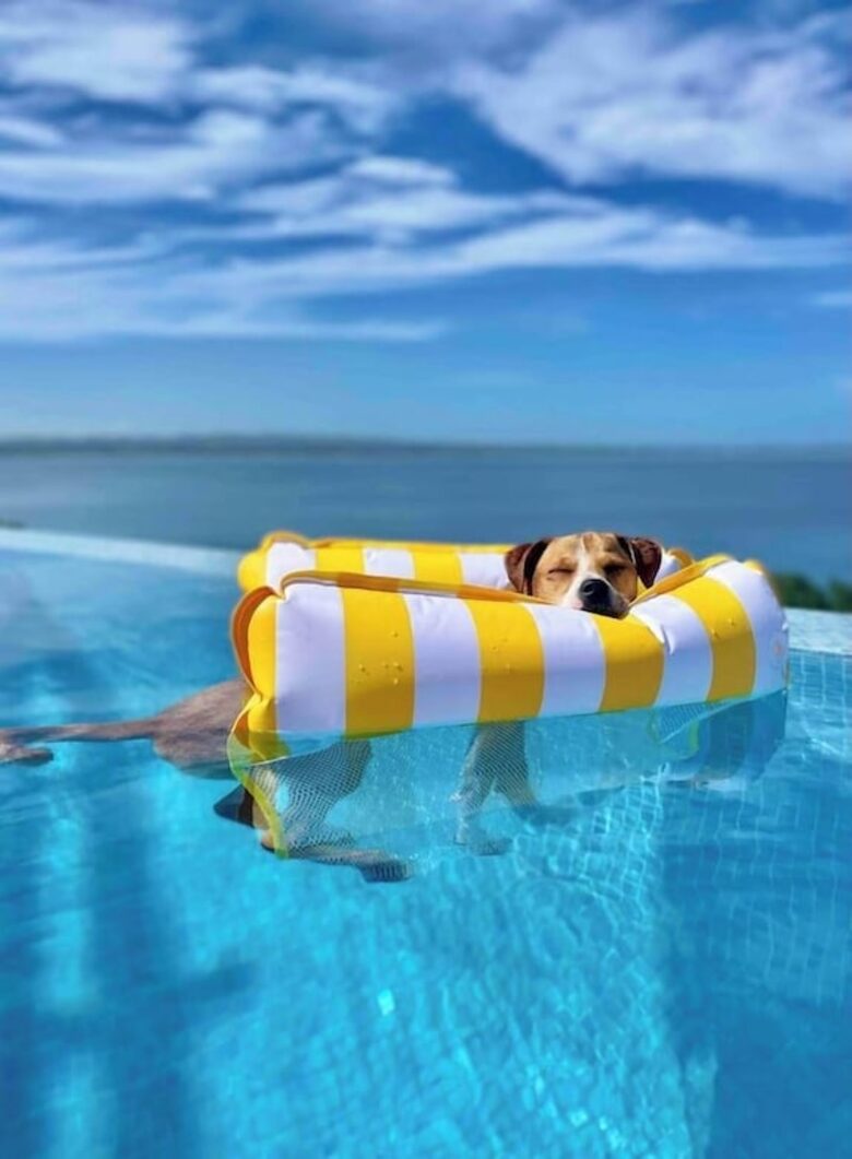 Spanish-Inspired Villa Overlooking Crash Boat Beach - Aguadilla Pueblo, Puerto Rico