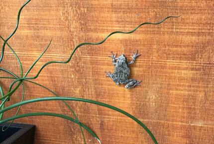 Modern Rustic Lake Home | Outdoor Lover’s Lakefront Haven - Erhard, Minnesota