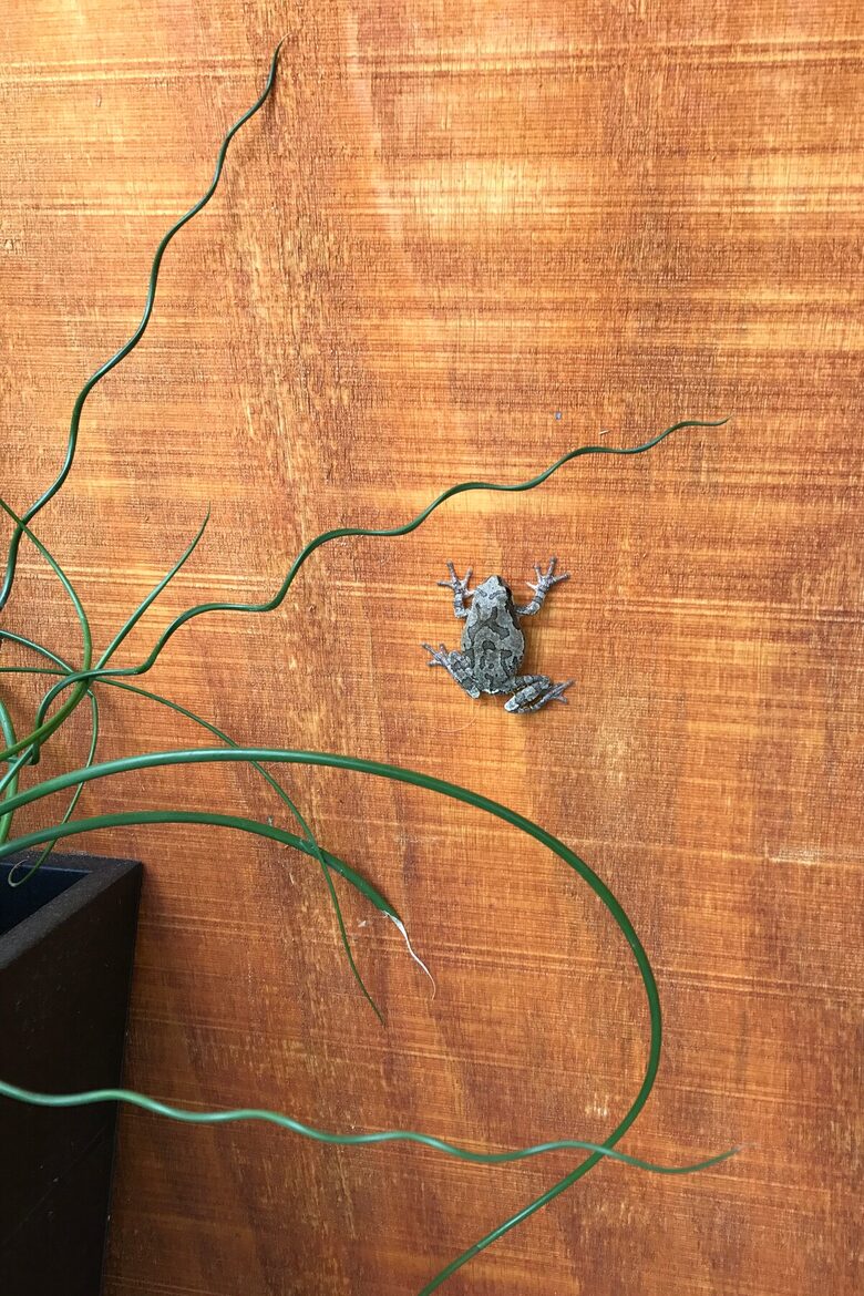 Modern Rustic Lake Home | Outdoor Lover’s Lakefront Haven - Erhard, Minnesota