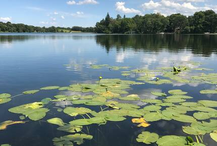 Modern Rustic Lake Home | Outdoor Lover’s Lakefront Haven - Erhard, Minnesota