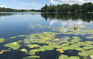 Modern Rustic Lake Home | Outdoor Lover’s Lakefront Haven - Erhard, Minnesota
