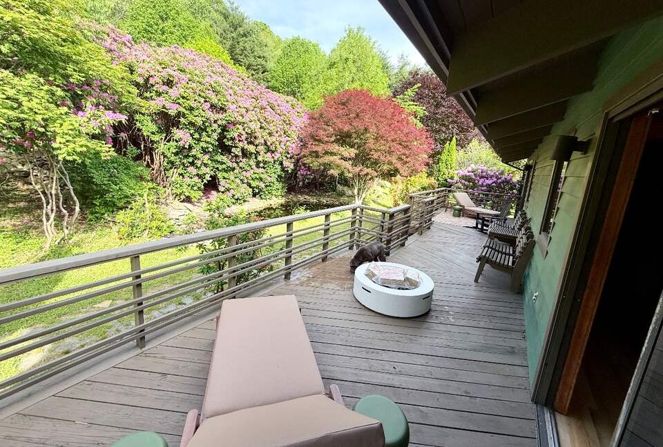 Luxury Mountain Getaway on 220 Acres with Trails & Private Pond - Independence, Virginia