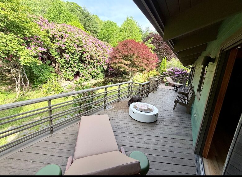 Luxury Mountain Getaway on 220 Acres with Trails & Private Pond - Independence, Virginia