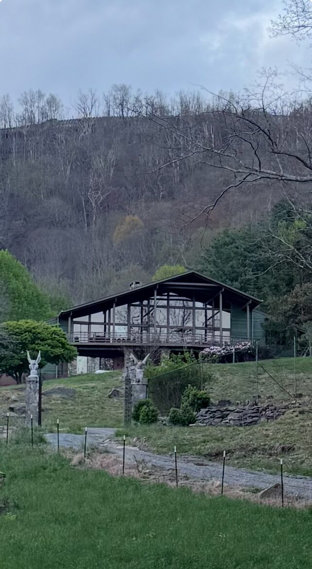 Luxury Mountain Getaway on 220 Acres with Trails & Private Pond - Independence, Virginia