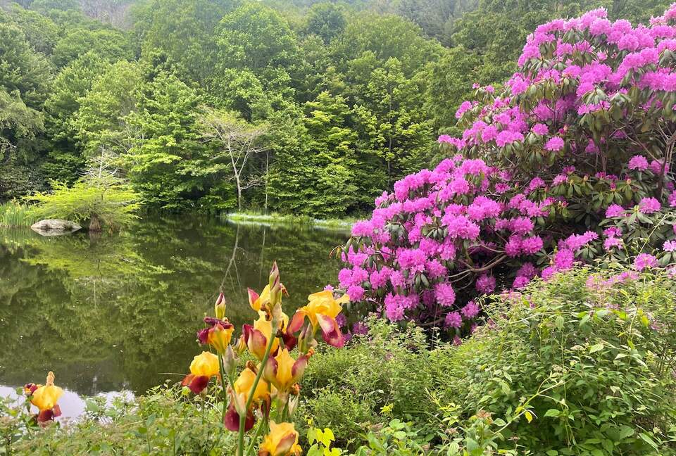 Luxury Mountain Getaway on 220 Acres with Trails & Private Pond - Independence, Virginia