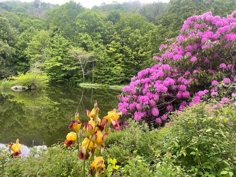 Luxury Mountain Getaway on 220 Acres with Trails & Private Pond - Independence, Virginia